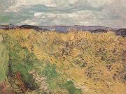 Vincent Van Gogh Whear Field with Cornflowers (nn04) oil
